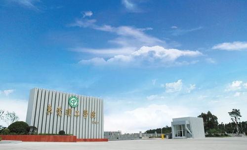 广东高考放榜时间提前 多所高校公布招生计划